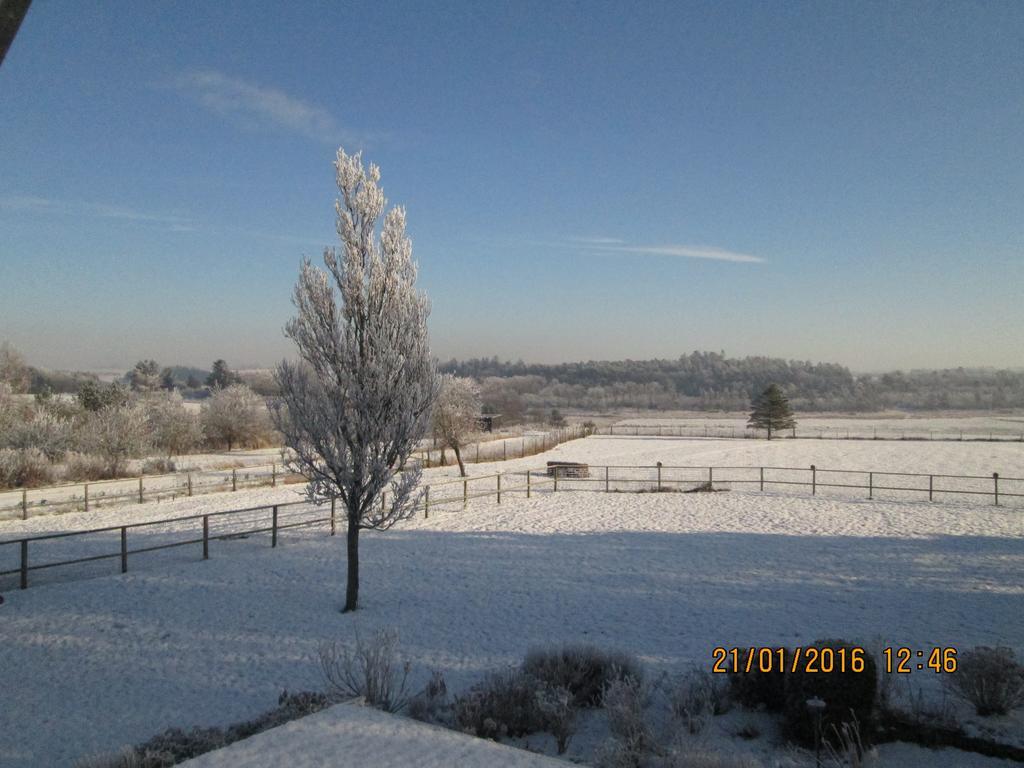 Bakkegarden Homestay Spottrup Dış mekan fotoğraf