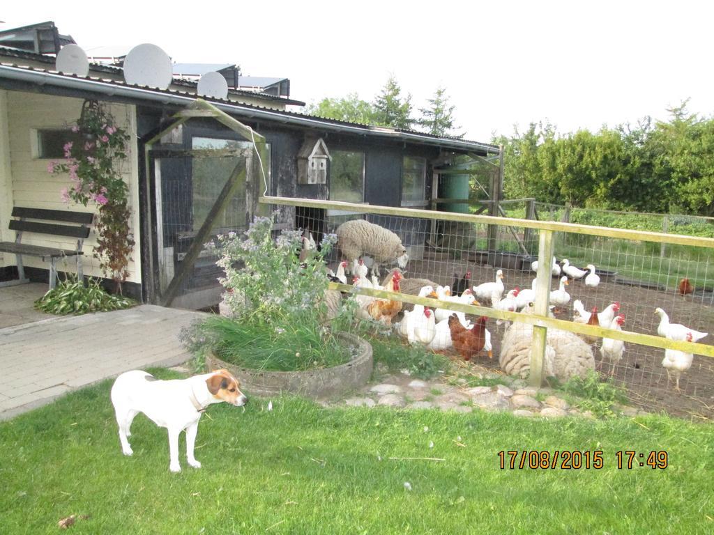 Bakkegarden Homestay Spottrup Dış mekan fotoğraf